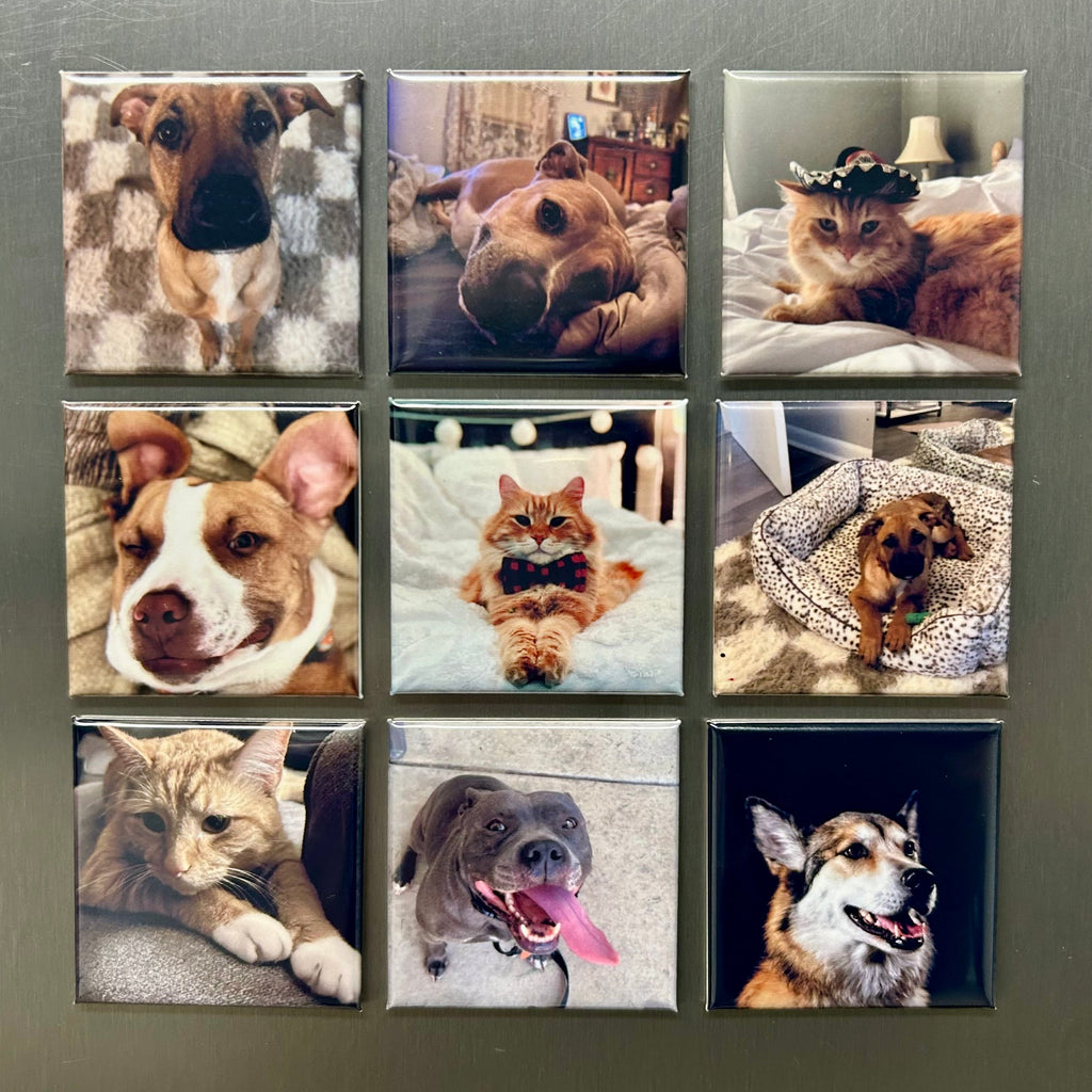 CUSTOM PHOTO MAGNETS - Set of 9