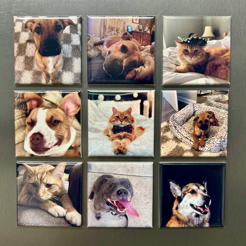 CUSTOM PHOTO MAGNETS - Set of 9